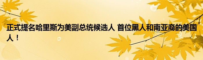 正式提名哈里斯为美副总统候选人 首位黑人和南亚裔的美国人!