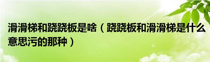 滑滑梯和跷跷板是啥(跷跷板和滑滑梯是什么意思污的那种)