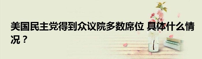 美国民主党得到众议院多数席位 具体什么情况?