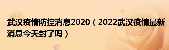 武汉疫情防控消息2020(2022武汉疫情最新消息今天封了吗)