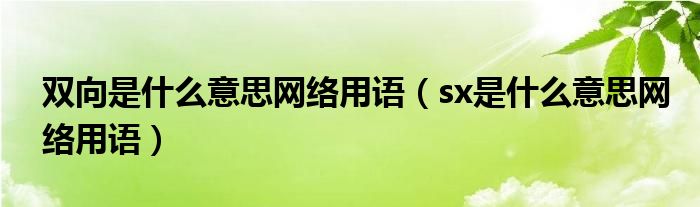 双向是什么意思网络用语（sx是什么意思网络用语）