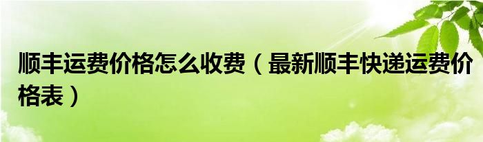 顺丰运费价格怎么收费(最新顺丰快递运费价格表)