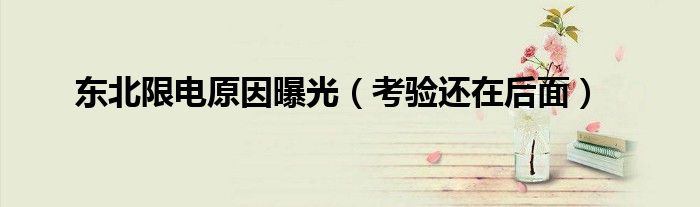 东北限电原因曝光(考验还在后面)