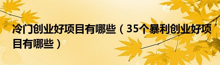 冷门创业好项目有哪些(35个暴利创业好项目有哪些)