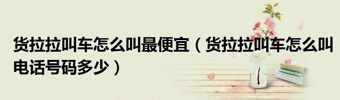 货拉拉叫车怎么叫最便宜(货拉拉叫车怎么叫电话号码多少)