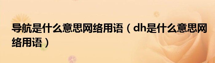 导航是什么意思网络用语(dh是什么意思网络用语)