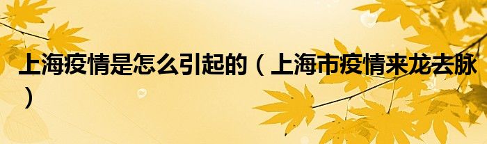 上海疫情是怎么引起的(上海市疫情来龙去脉)