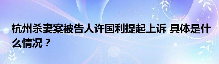杭州杀妻案被告人许国利提起上诉 具体是什么情况？