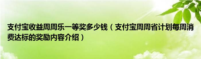 支付宝收益周周乐一等奖多少钱(支付宝周周省计划每周消费达标的奖励内容介绍)