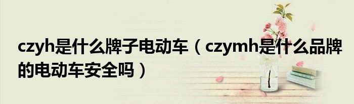 czyh是什么牌子电动车(czymh是什么品牌的电动车安全吗)