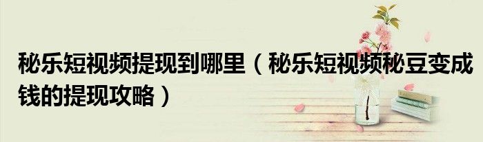 秘乐短视频提现到哪里(秘乐短视频秘豆变成钱的提现攻略)