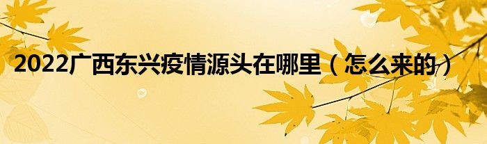 2022广西东兴疫情源头在哪里(怎么来的)