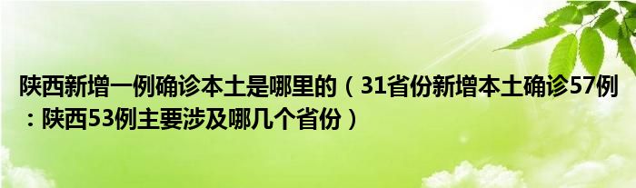 陕西新增一例确诊本土是哪里的(31省份新增本土确诊57例:陕西53例主要涉及哪几个省份)