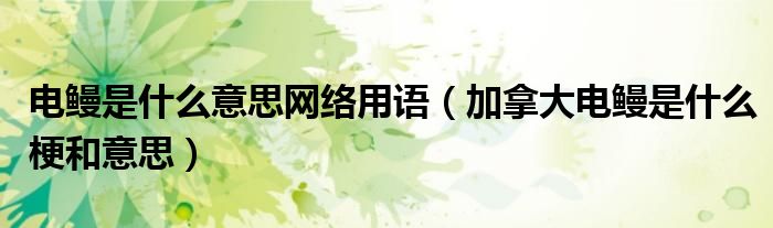 电鳗是什么意思网络用语(加拿大电鳗是什么梗和意思)