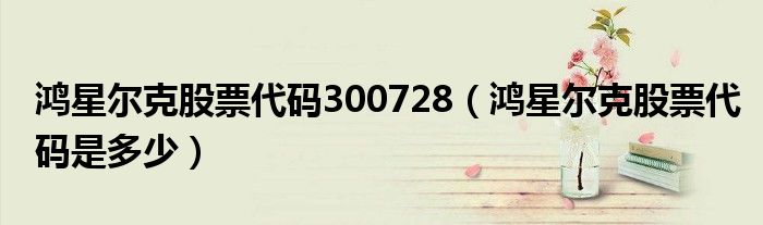 鸿星尔克股票代码300728(鸿星尔克股票代码是多少)
