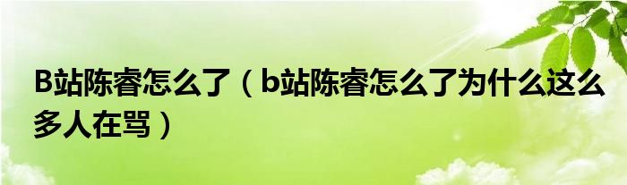 B站陈睿怎么了(b站陈睿怎么了为什么这么多人在骂)