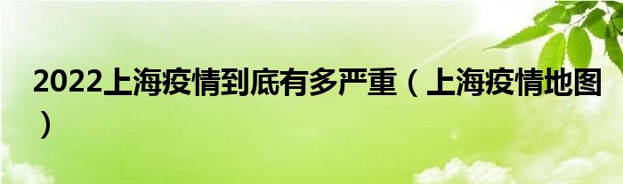 2022上海疫情到底有多严重(上海疫情地图)