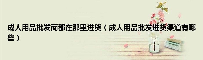 成人用品批发商都在那里进货(成人用品批发进货渠道有哪些)