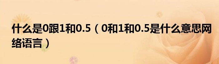 什么是0跟1和0.5(0和1和0.5是什么意思网络语言)