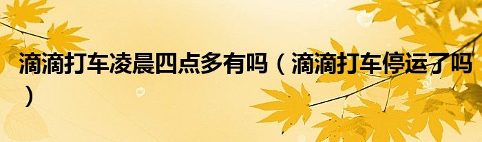 滴滴打车凌晨四点多有吗(滴滴打车停运了吗)