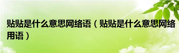贴贴是什么意思网络语(贴贴是什么意思网络用语)