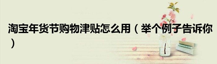 淘宝年货节购物津贴怎么用(举个例子告诉你)