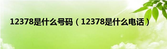12378是什么号码(12378是什么电话)