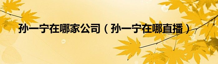 孙一宁在哪家公司(孙一宁在哪直播)