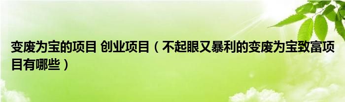 变废为宝的项目 创业项目(不起眼又暴利的变废为宝致富项目有哪些)