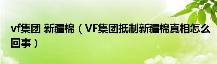 vf集团 新疆棉（VF集团抵制新疆棉真相怎么回事）