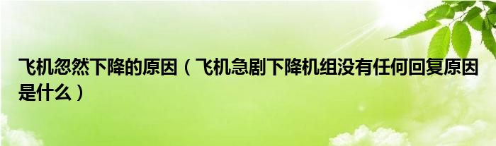 飞机忽然下降的原因(飞机急剧下降机组没有任何回复原因是什么)