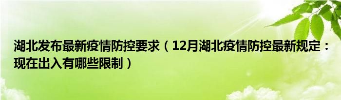 湖北发布最新疫情防控要求(12月湖北疫情防控最新规定:现在出入有哪些限制)