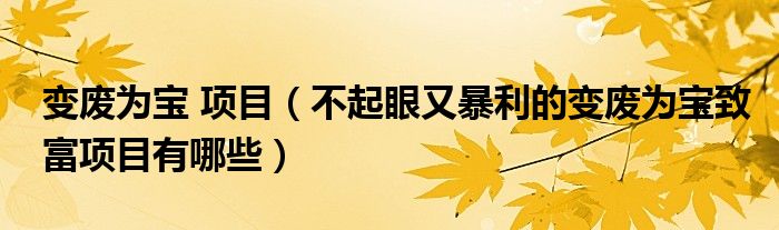 变废为宝 项目(不起眼又暴利的变废为宝致富项目有哪些)