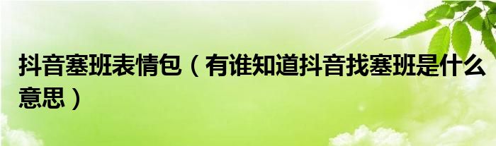 抖音塞班表情包(有谁知道抖音找塞班是什么意思)