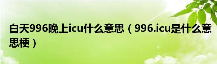 白天996晚上icu什么意思(996.icu是什么意思梗)