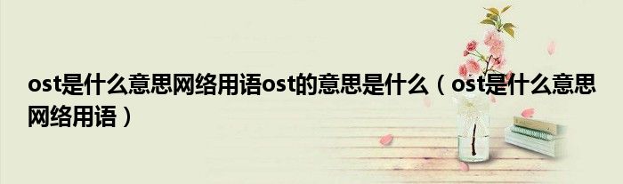 ost是什么意思网络用语ost的意思是什么（ost是什么意思网络用语）
