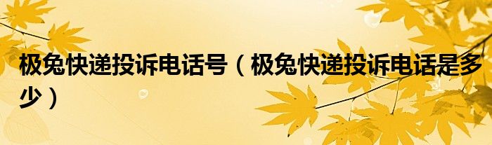 极兔快递投诉电话号(极兔快递投诉电话是多少)