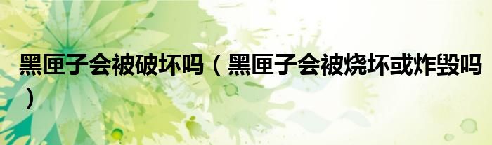 黑匣子会被破坏吗(黑匣子会被烧坏或炸毁吗)
