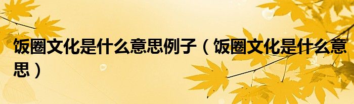 饭圈文化是什么意思例子(饭圈文化是什么意思)