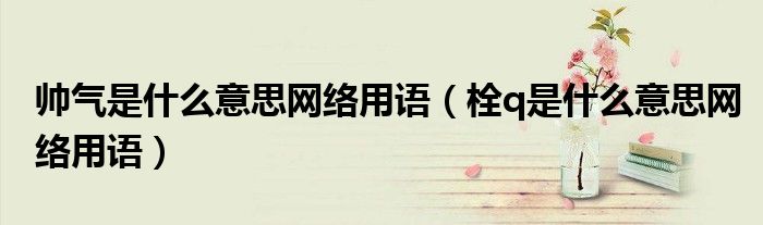 帅气是什么意思网络用语(栓q是什么意思网络用语)