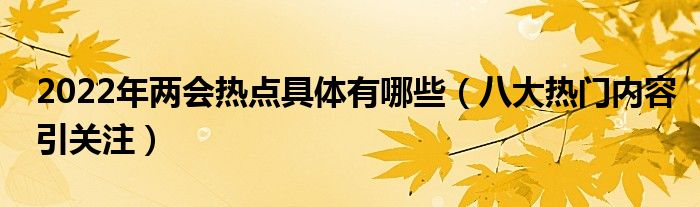 2022年两会热点具体有哪些(八大热门内容引关注)