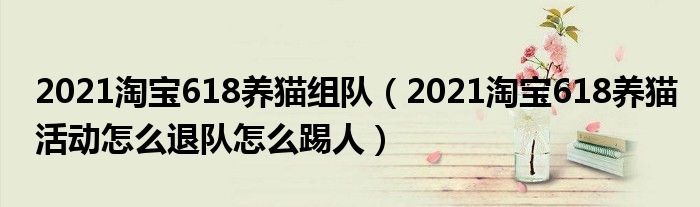 2021淘宝618养猫组队(2021淘宝618养猫活动怎么退队怎么踢人)