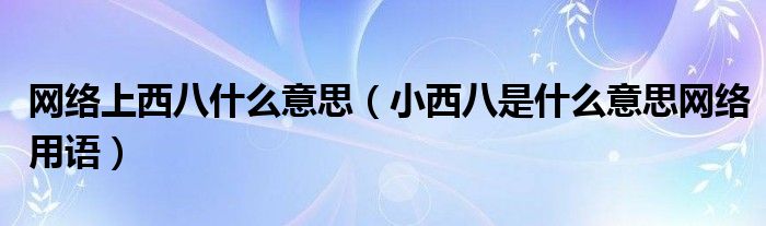 网络上西八什么意思(小西八是什么意思网络用语)
