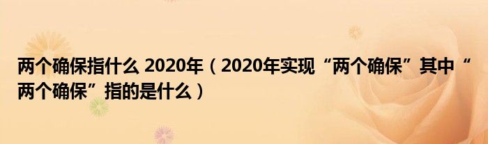 两个确保指什么 2020年(2020年实现“两个确保”其中“两个确保”指的是什么)