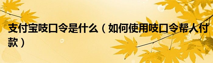 支付宝吱口令是什么(如何使用吱口令帮人付款)
