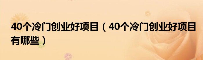 40个冷门创业好项目(40个冷门创业好项目有哪些)