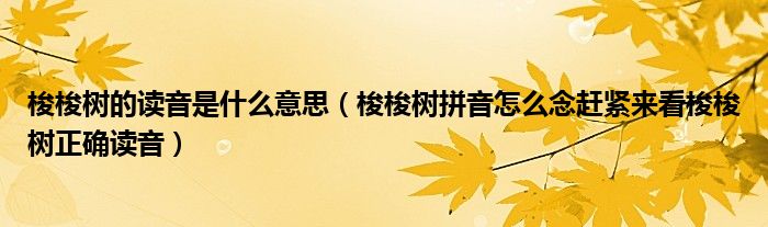 梭梭树的读音是什么意思(梭梭树拼音怎么念赶紧来看梭梭树正确读音)