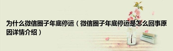 为什么微信圈子年底停运(微信圈子年底停运是怎么回事原因详情介绍)