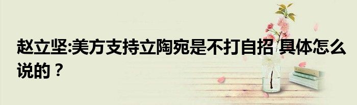赵立坚:美方支持立陶宛是不打自招 具体怎么说的?