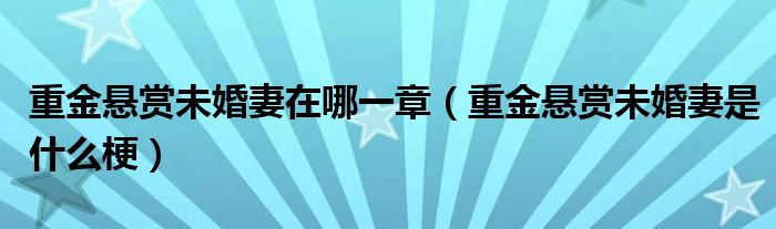 重金悬赏未婚妻在哪一章(重金悬赏未婚妻是什么梗)
